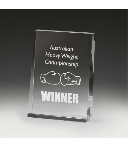 Distinct Corp -  Wedge Award 125mm