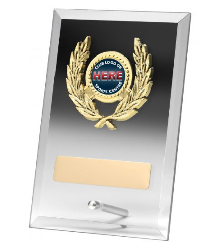 Distinct Corp - Clear Plaque 150mm