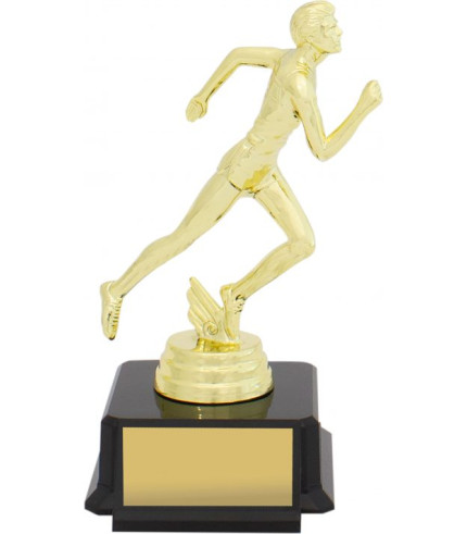 Stylish - Radiance Series Green - Generic (S)